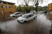 53010362653635