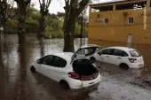 53010352653635