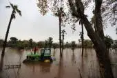 53010372653635
