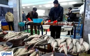 قیمت انواع ماهی در بازار (۲۹ اردیبهشت ۹۹) + جدول