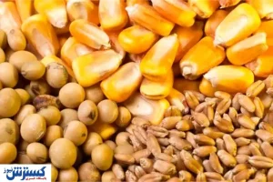 قیمت انواع نهاده‌ های کشاورزی در بازار (۲۹ اردیبهشت ۹۹) + جدول