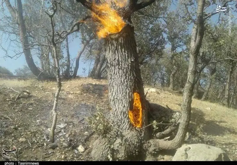 گچساران۳