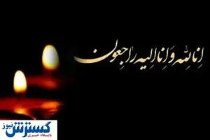 یکی از مدیران ارشد ایمیدرو درگذشت