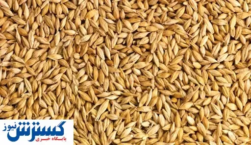 قیمت عرضه جو وارداتی چقدر است؟