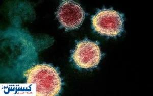 واکنش رئیس دانشگاه علوم پزشکی جندی شاپور به خبر مفقودشدن تست‌ های کرونا/فیلم