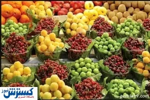 طعم گیلاس در خواب