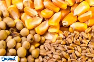 اقدامی برای صرفه جویی ۴ هزار میلیاردی در خوراک دام