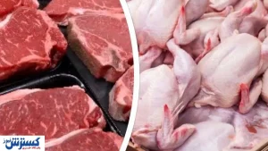 سرگردانی تولیدکنندگان مرغ و گوشت قرمز