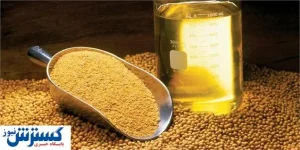تقابل واردات و تولید دانه‌های روغنی در داخل کشور/فیلم