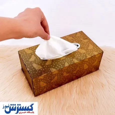قیمت دستمال کاغذی در بازار چند؟ + جدول