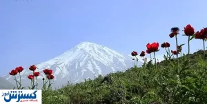 سکوت مبهم سازمان اوقاف در ماجرای وقف دماوند!