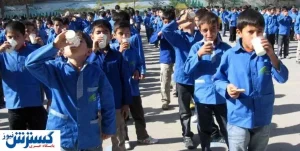 کشف ۱۹ هزار پاکت شیر فاسد در انبارهای آموزش و پرورش!