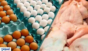 قیمت جدید مرغ و بوقلمون در بازار + جدول