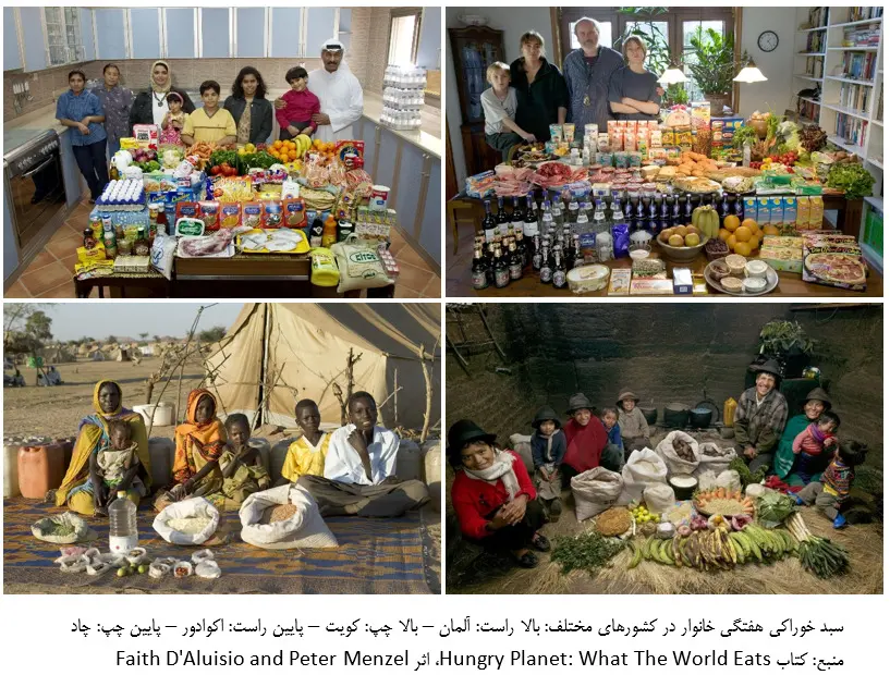 سبدمصرفی۱