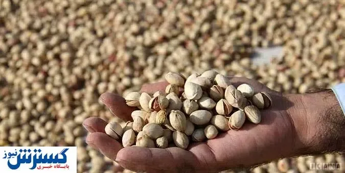 طلای سبز ایران در دام کرونا