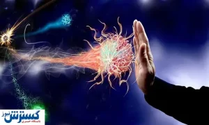 این نکات سیستم ایمنی بدن را ضعیف می کند + اینفوگرافی
