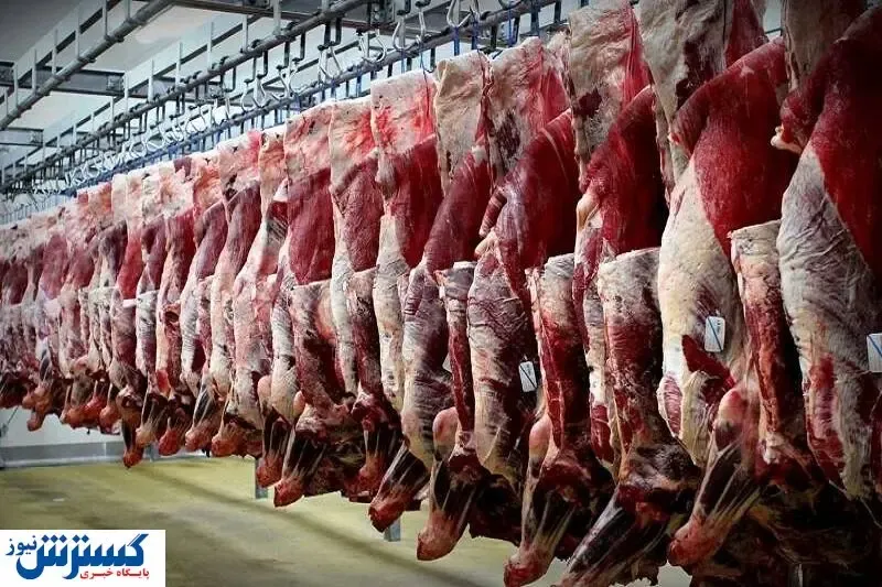 چرا قیمت گوشت قرمز افزایش یافت؟