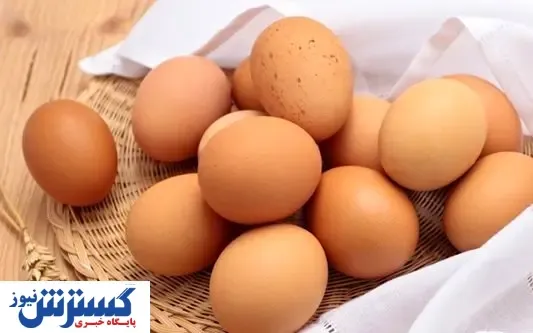 قیمت روز تخم مرغ در بازار (۹۹/۰۷/۳۰) + جدول