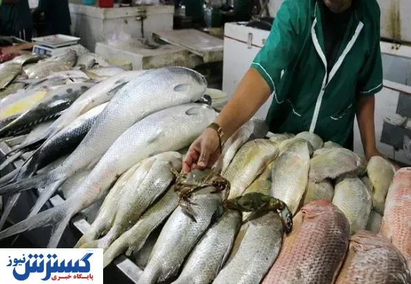 ماهی و میگو در بازار امروز کیلویی چند؟ (۹۹/۰۸/۱۰) + جدول قیمت