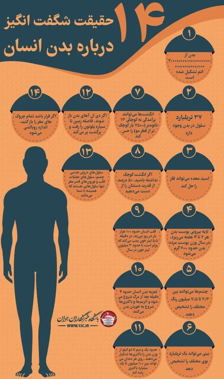 اینفو
