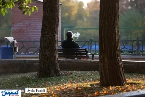 تصاویر/ سایه روشن یک پاییز کرونایی