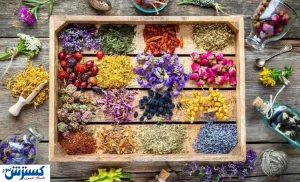 طب سنتی چه کمکی به درمان کرونا می‌کند؟