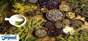این ۱۰ گیاه دارویی را همیشه در خانه داشته باشید
