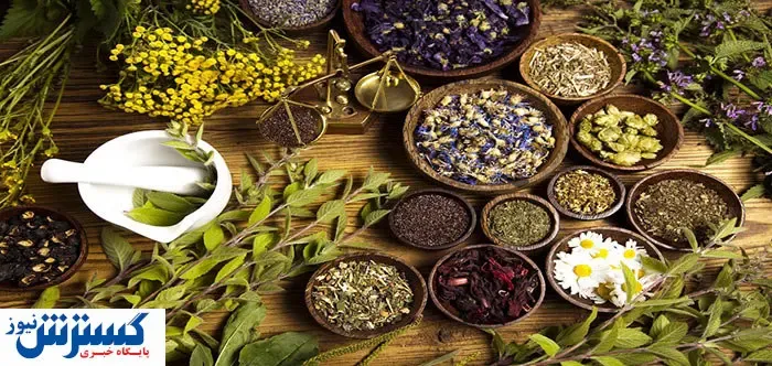 این ۱۰ گیاه دارویی را همیشه در خانه داشته باشید