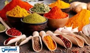 مهمترین خواص ادویه کاری