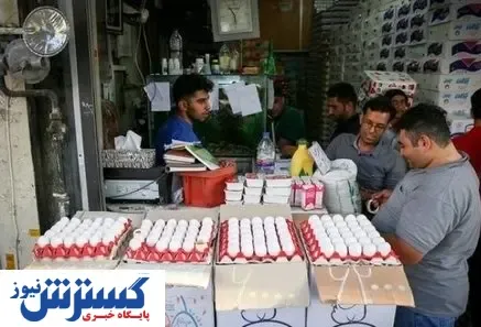 قیمت تخم مرغ باز هم افزایش یافت + آخرین جزییات