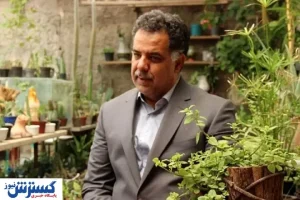 مردم نگران تامین میوه شب یلدا نباشند