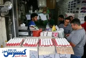 اقدامی برای ایجاد آشفتگی در بازار تخم مرغ