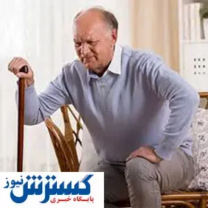 گیاهی برای رفع زانودرد سالمندان