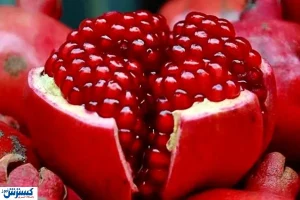 برای تقویت حنجره و صدا از این میوه غافل نشوید