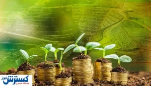 مشکل سرمایه‌ گذاری در بخش معدن کجاست؟