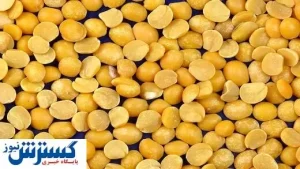 ۵ خاصیت شگفت‌انگیز لپه برای سلامت بدن