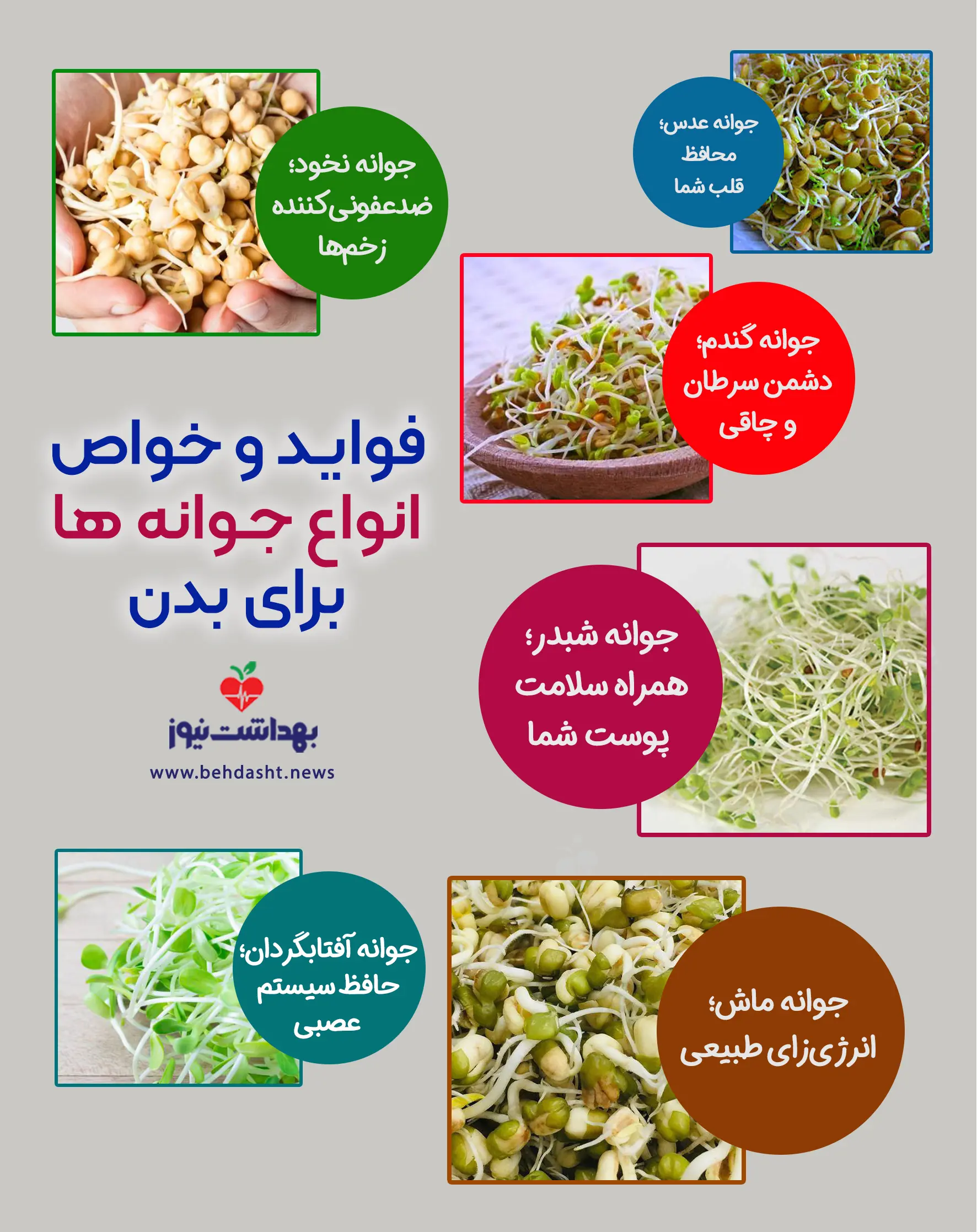 جوانه