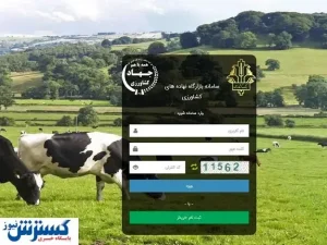 باگ سایت پر از پول را برطرف کنید