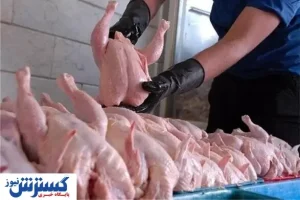 روش جدید مرغ فروشی‌ ها برای گرانفروشی