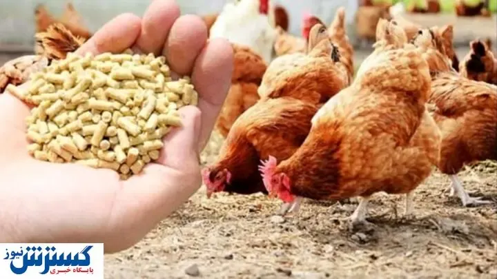قیمت نهاده های دامی و کشاورزی در بازار (۹۹/۱۲/۸)