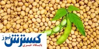 تجارت چرب چینی ها!