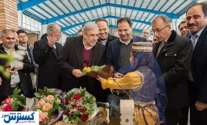 مدیرعامل منطقه آزاد کیش برکنار شد