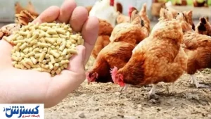 قیمت نهاده های دامی و کشاورزی در بازار (۹۹/۱۲/۱۱)