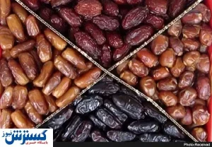 با خوردن این میوه حافظه تان را تقویت کنید