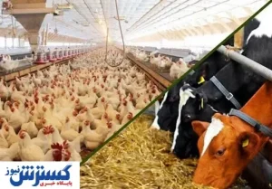 قیمت روز نهاده های دامی و کشاورزی در بازار (۱۴۰۰/۰۱/۲۹) + جدول