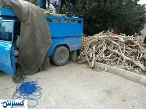 پرسودترین قاچاق ایران / بالاتر از موادمخدر