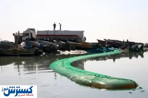 کشف «مشک ماری» در سواحل خلیج‌فارس