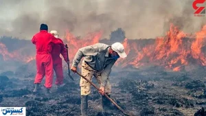 کشت‌کنندگان ماری‌جوآنا میانکاله را آتش زدند!