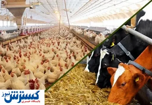 خبر خوش برای دامداران