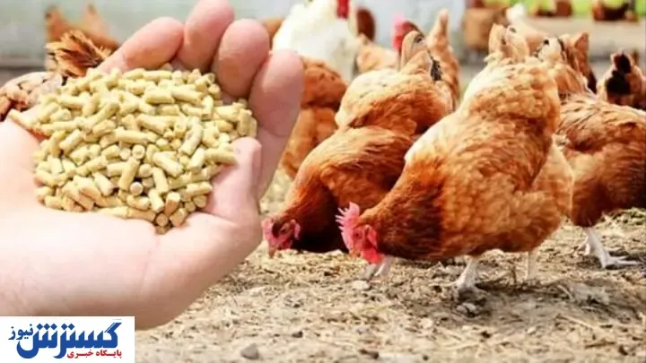 قیمت نهاده های دامی در بازار (۱۴۰۰/۰۵/۰۴) + جدول